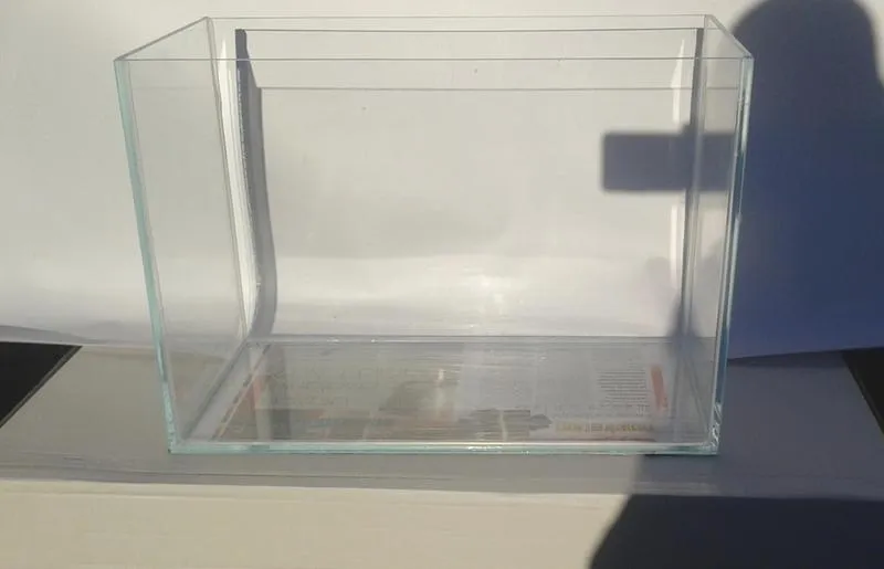 Najlepsze rośliny do akwarium