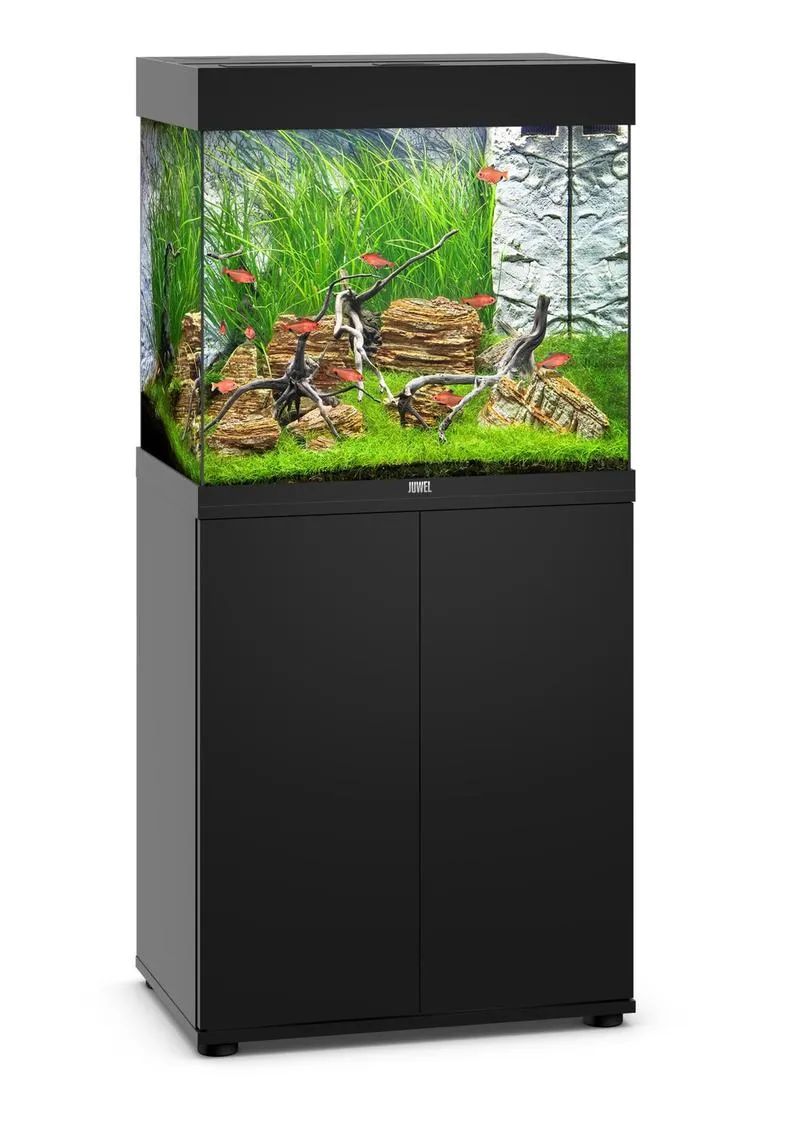 Najlepsze ryby do akwarium 120l