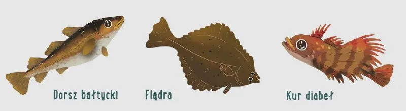 Najlepsze ryby do spróbowania