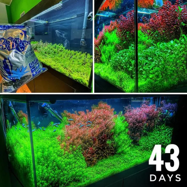 Naturalne materiały akwarystyczne