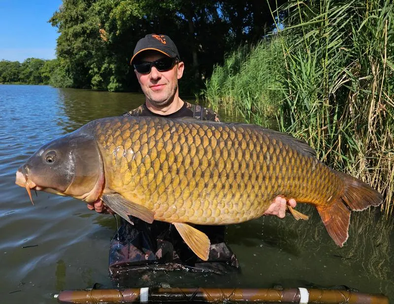 Nęcenie karpi w stawach