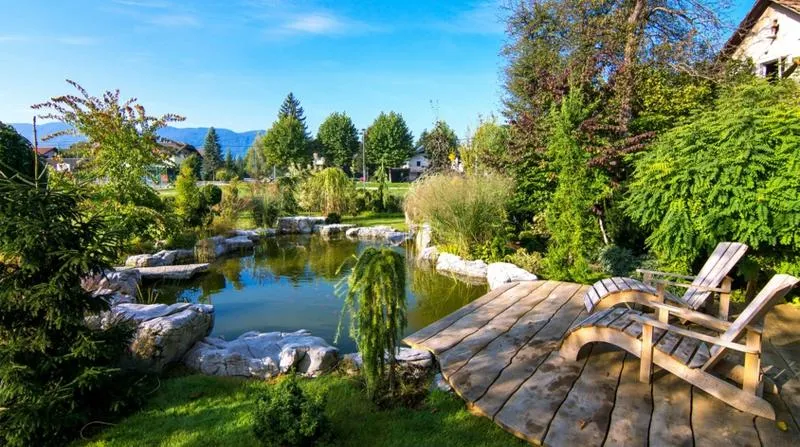 Oczko wodne w ogrodzie