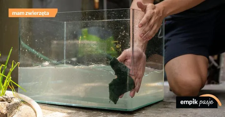 Odmulanie dna akwarium