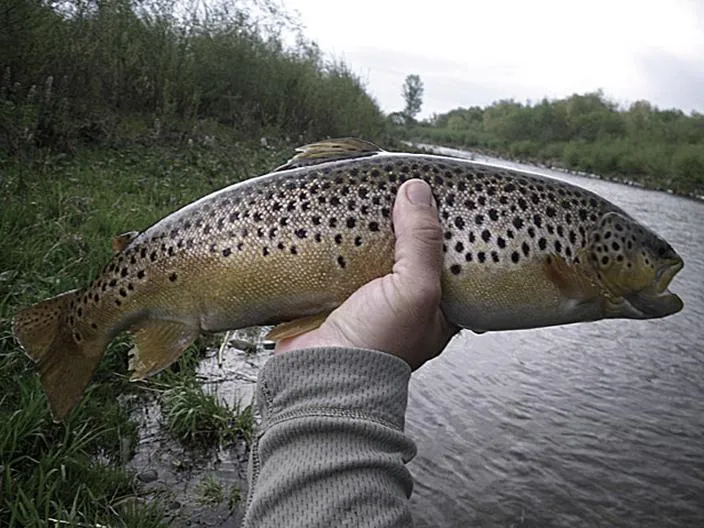 Optymalne warunki pogodowe