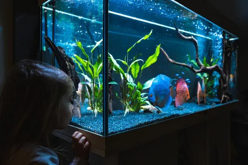 Oświetlenie LED do akwarium
