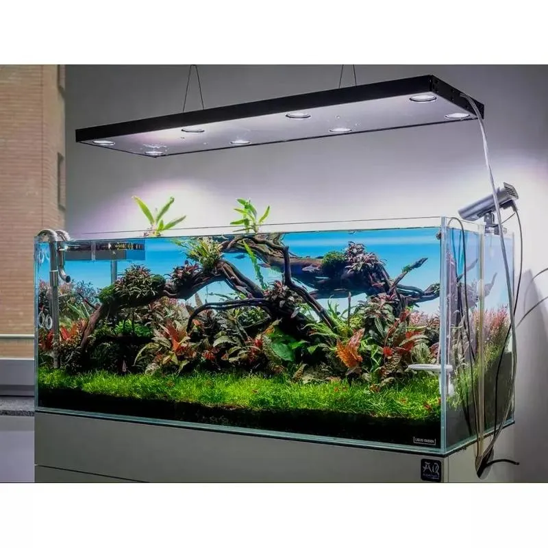 Oświetlenie koralowców widmo światła