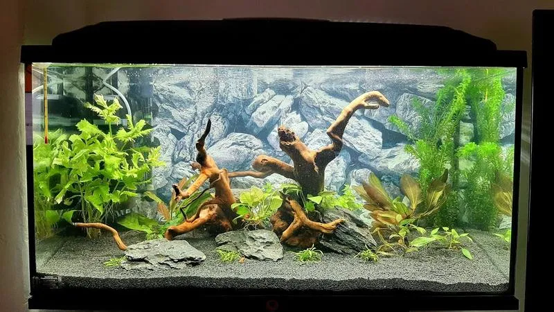 Parametry wody i monitoring