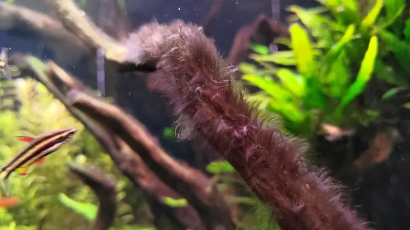 Parametry wody w akwarium