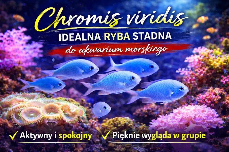 Pieczenie ryb w rękawie
