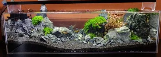 Podłoże do akwarium 200l