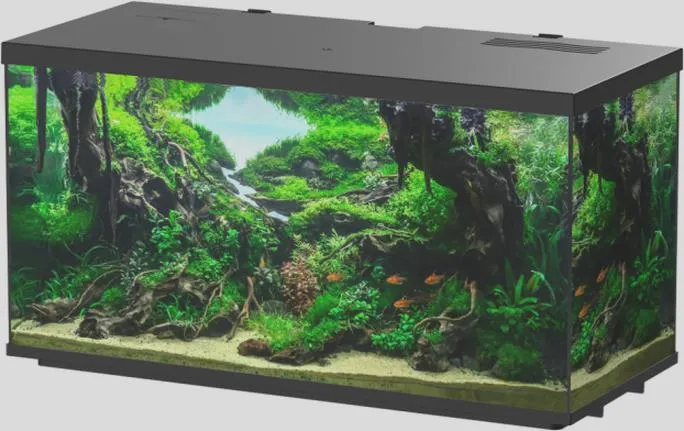 Pojemność akwarium