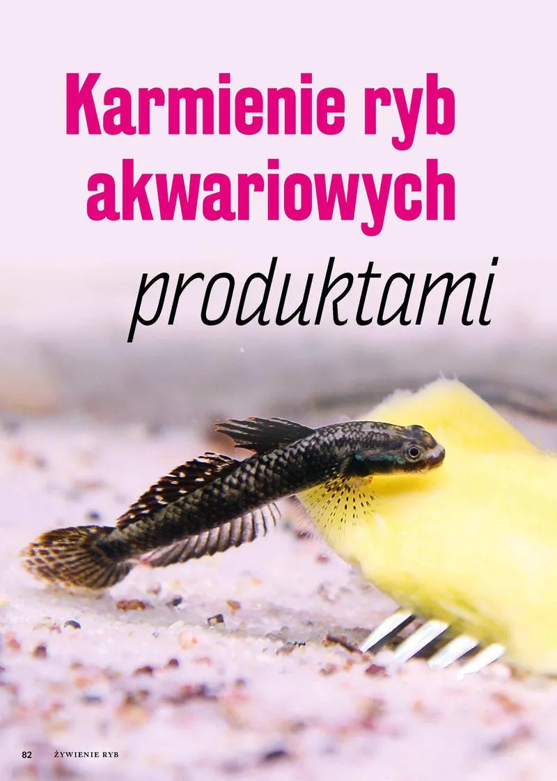 Pokarmy dla zdrowia ryb