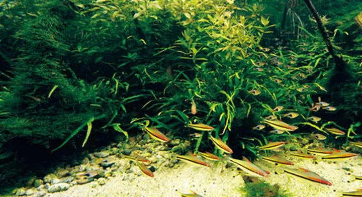 Pomiar fosforu w wodzie