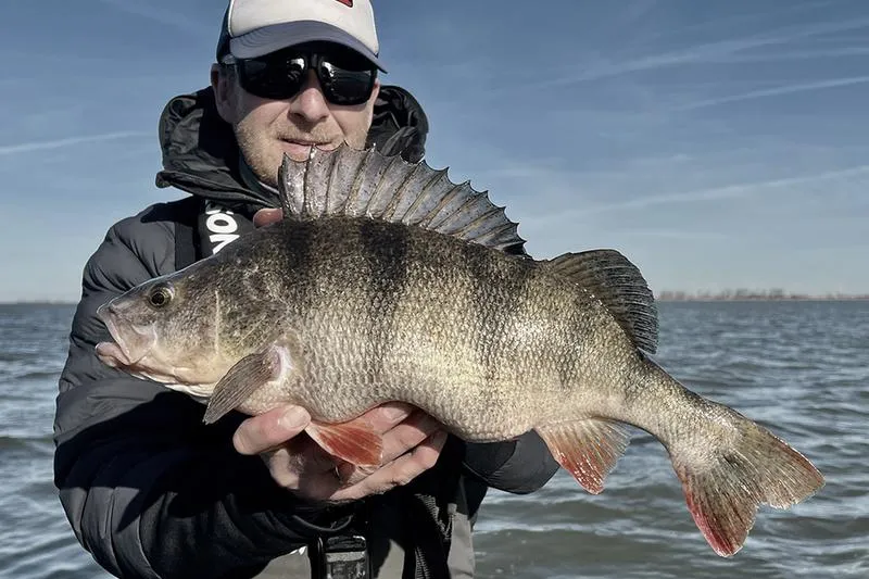 Przepisy wędkarskie Holandia