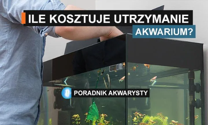 Przewodnik dla początkujących