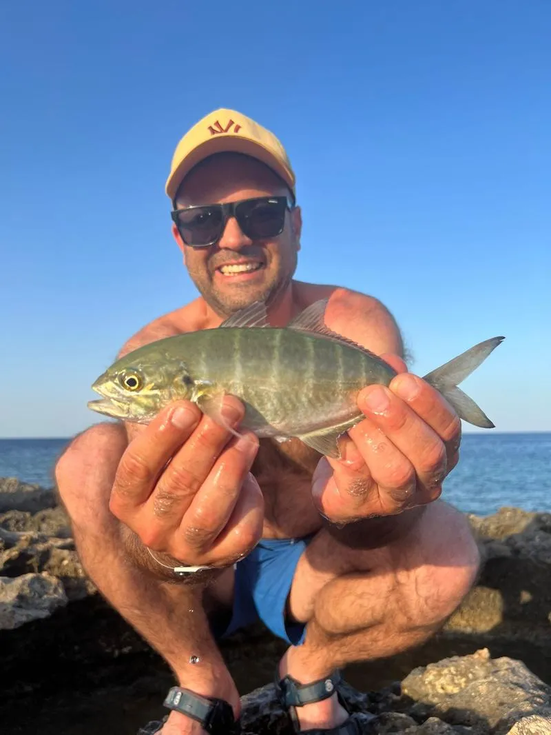 Przewodnik po najpopularniejszych gatunkach ryb na Malcie