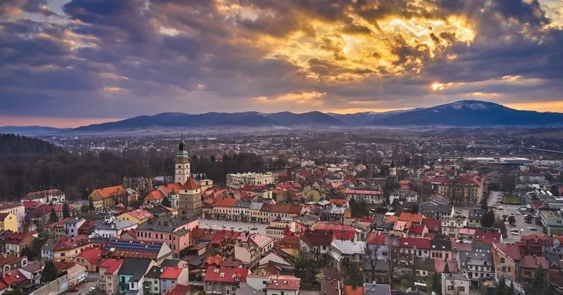 Przewodnik po rybach