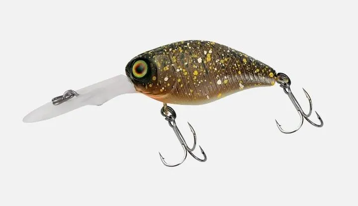 Przewodnik wędkarski po Bugu