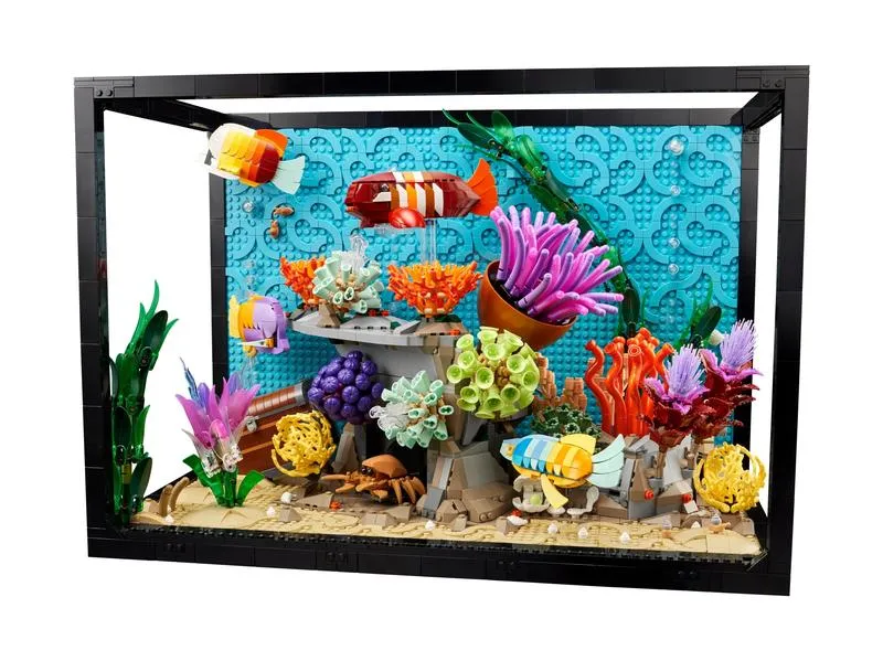 Przyczyny pienienia wody w akwarium