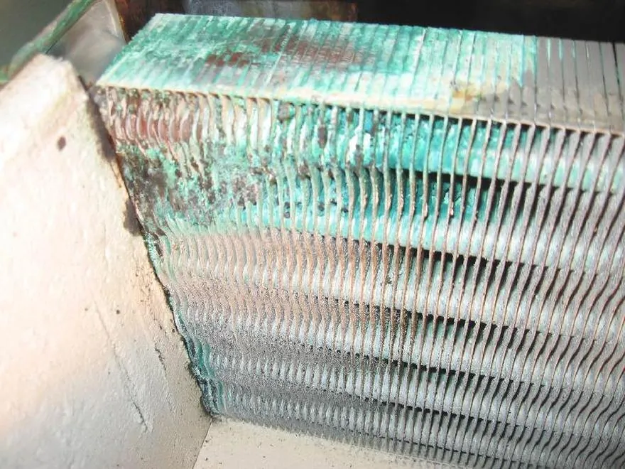 Przyczyny zielenic w akwarium