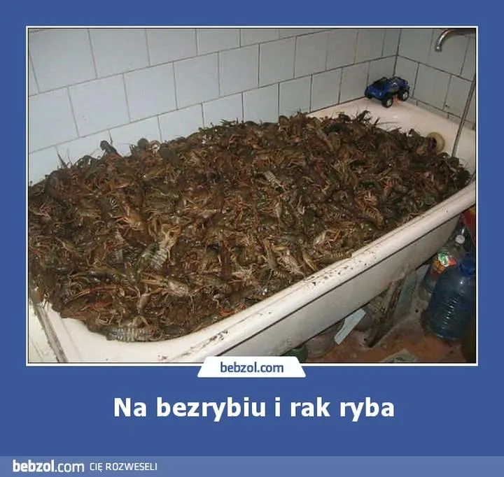 Raki i ryby w kuchni