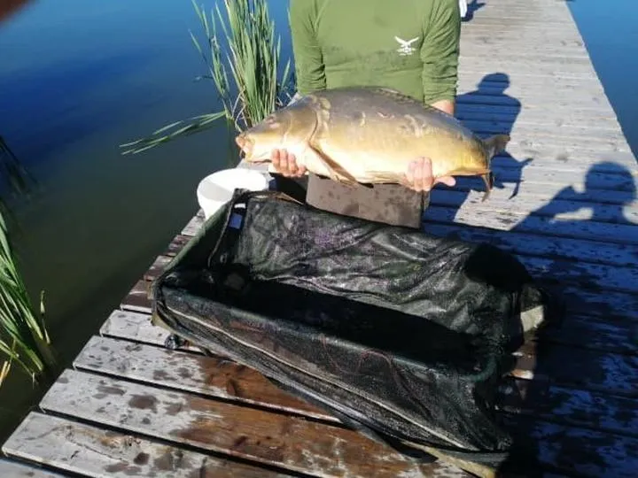 Regulacje prawne w wędkarstwie