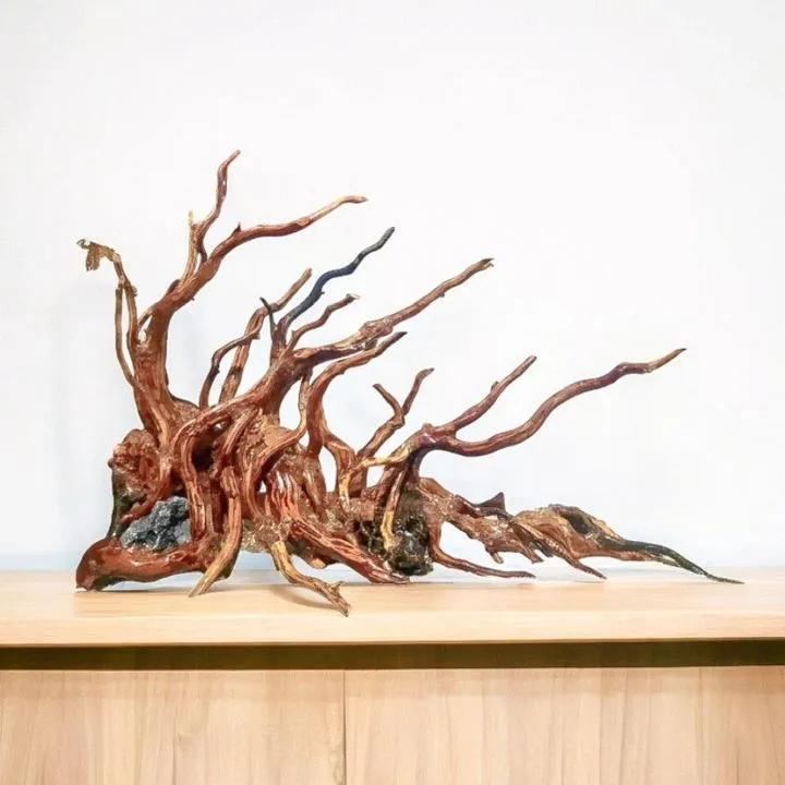 Rodzaje korzeni akwariowych