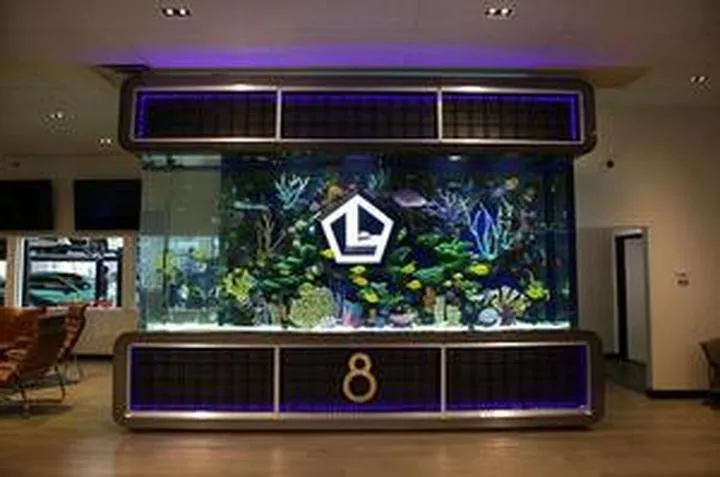 Rośliny do wyspy w akwarium