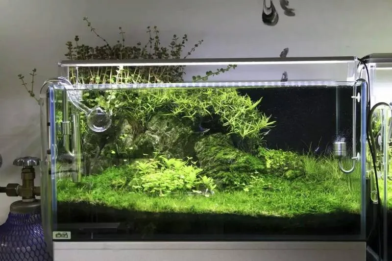 Samodzielna budowa belki LED