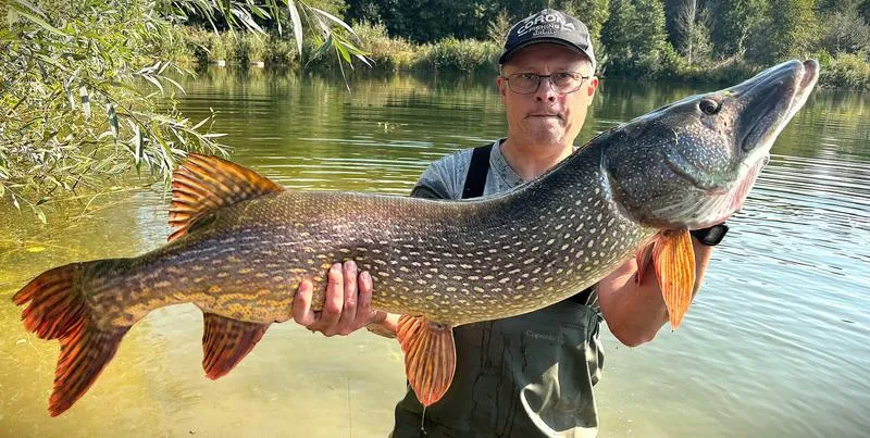 Sezon łowienia szczupaka kiedy i gdzie