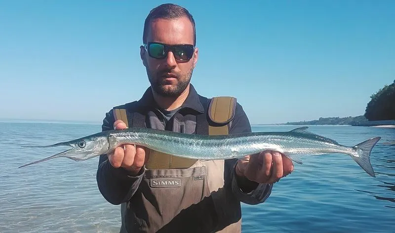 Sezon na belonę w maju