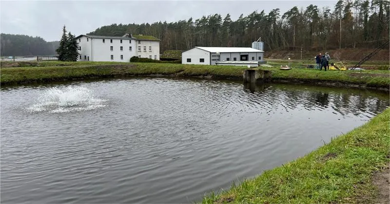 Sezonowe żywienie ryb