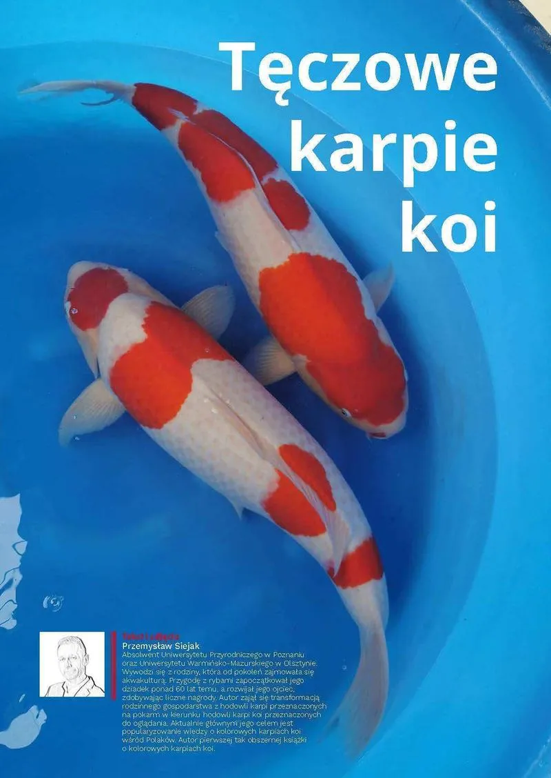 Skuteczne łowienie karpi
