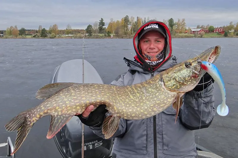 Skuteczne przynęty na szczupaka