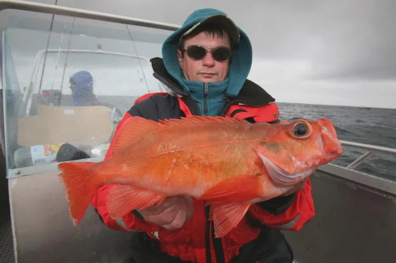 Środowisko życia karmazyna