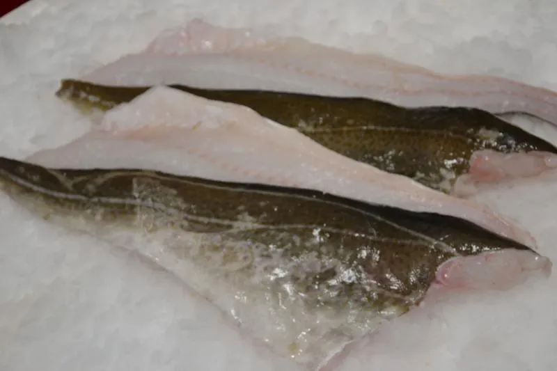 Techniki i strategie łowienia dorsza