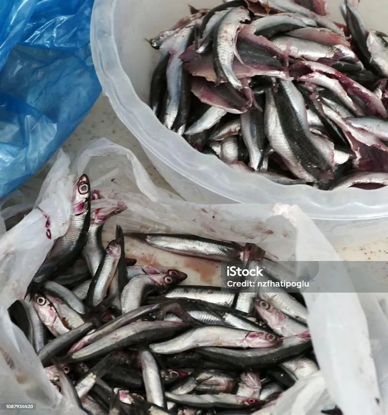 Techniki oczyszczania głowy ryby