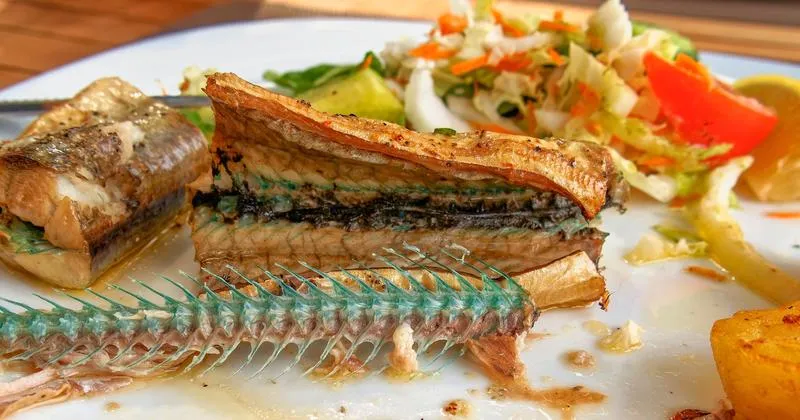 Techniki połowu belony