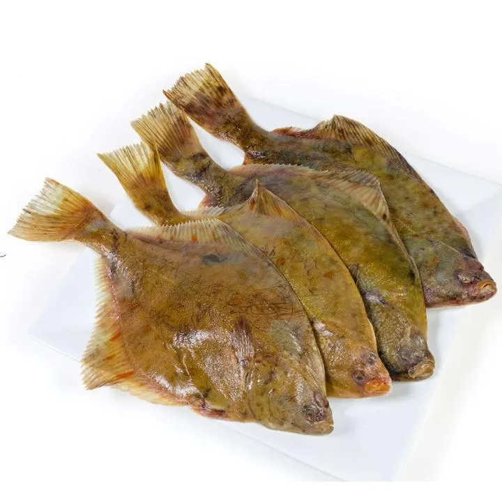 Techniki połowu na Bałtyku