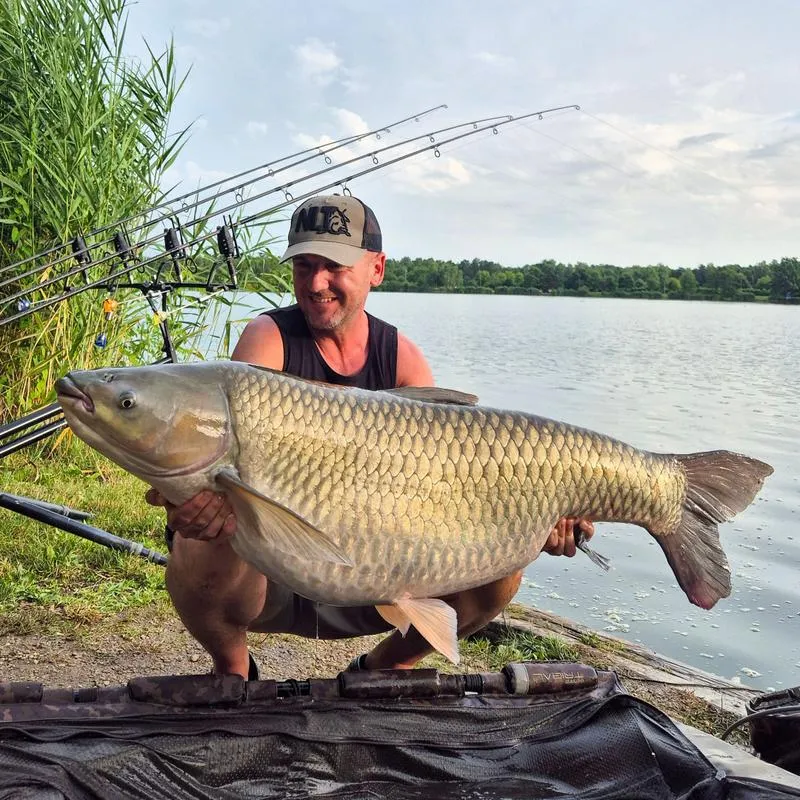 Techniki wędkarskie w Chorwacji