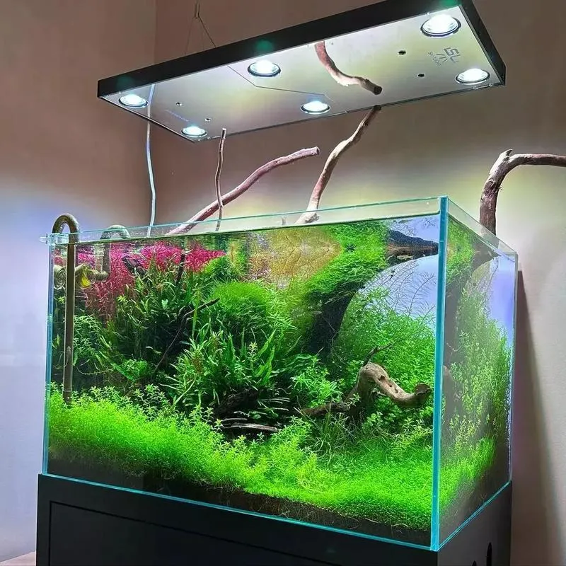 Technologie LED w akwarystyce