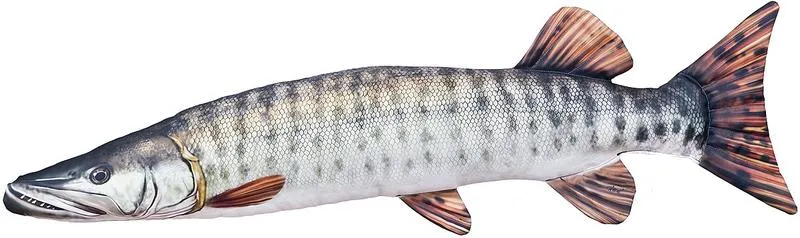 Topowe jeziora na szczupaka