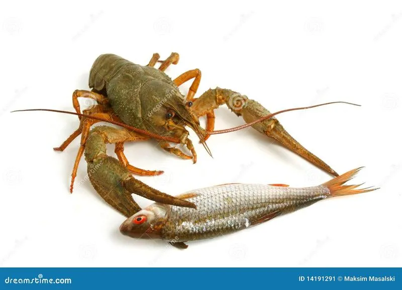 Tradycyjne i nowoczesne techniki kulinarne