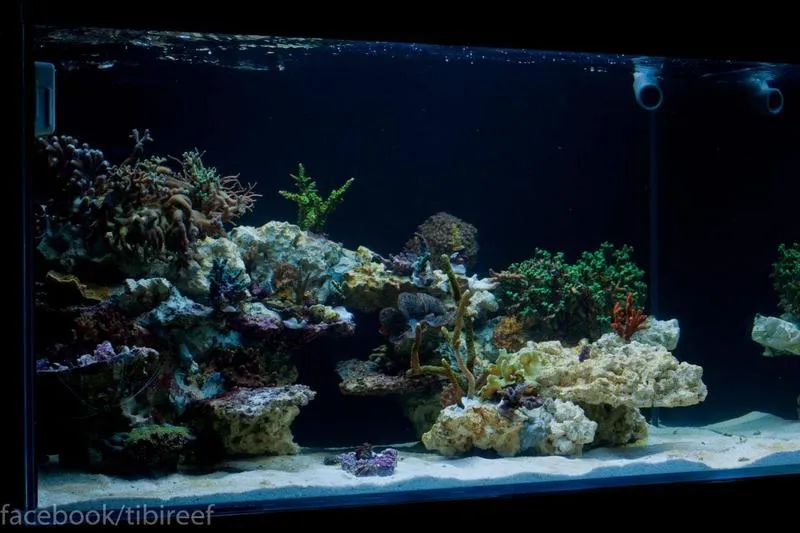 Transport akwarium krok po kroku