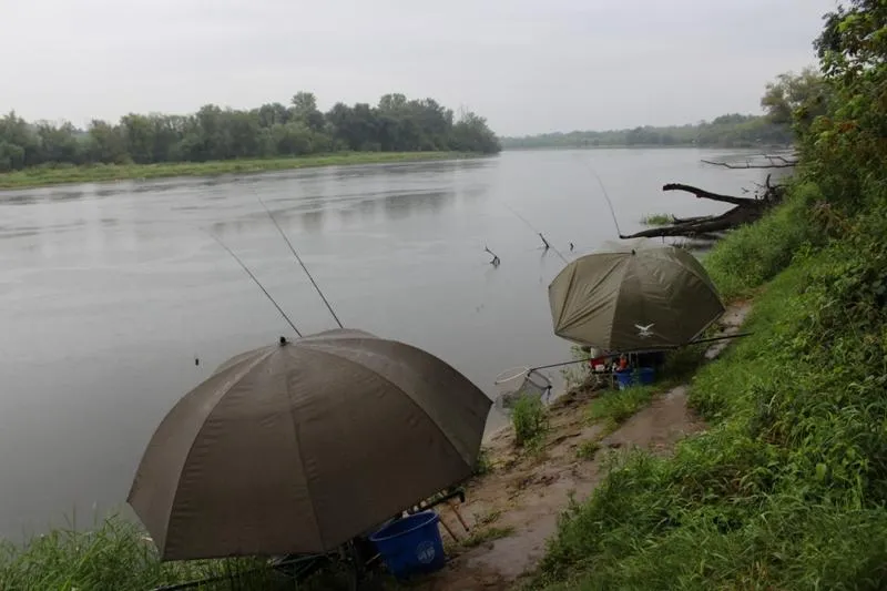 Wędkowanie po deszczu