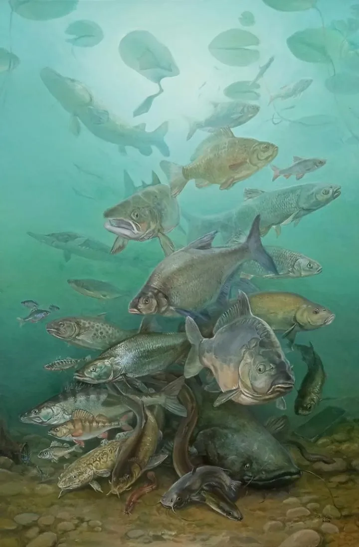 Wędkowanie we wrześniu