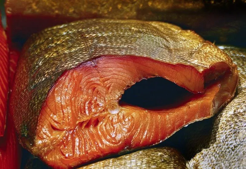 Wędzone ryby a karmienie piersią