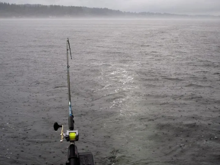 Wpływ deszczu na ryby