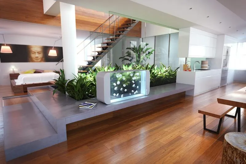 Wybór odpowiedniego zbiornika dla meduz