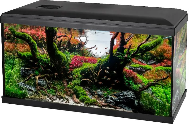 Wybór pokrywy do akwarium